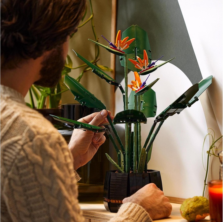 Actual product image LEGO Bird of Paradise (10289, LEGO Rare Sets)