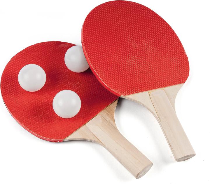 Actual product image VN Toys Vini Sport - Table Tennis Set (31394)
