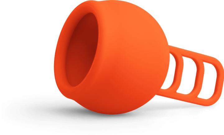 Image du produit Merula Renard de la Coupe (Normal)