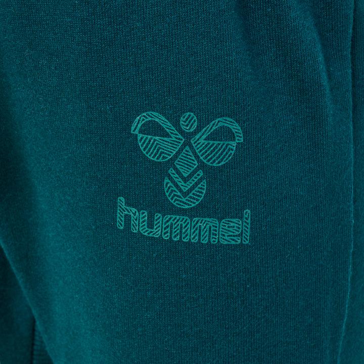 Actual product image hummel Fastwo Apple Pants (74)