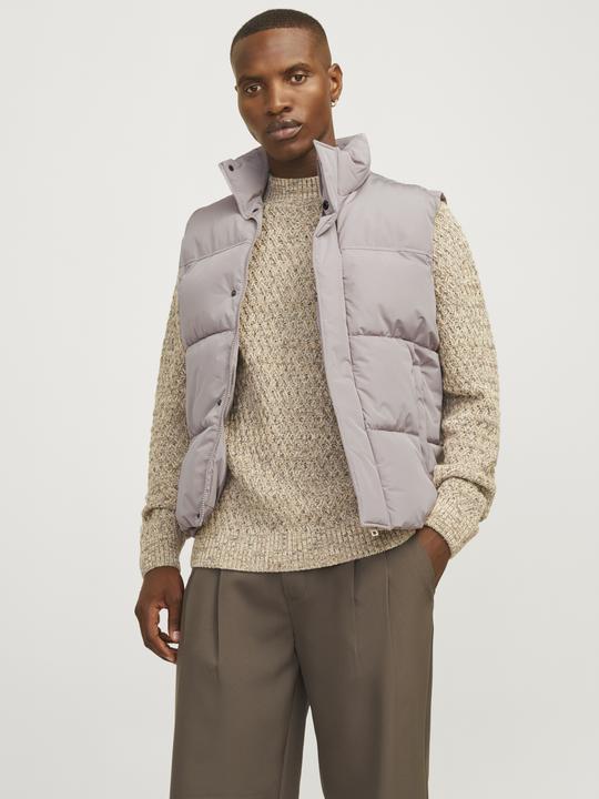 Actual product image Jack & Jones Jjebradley Bodywarmer Sn (S)