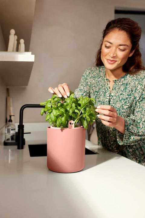 Produktbild Elho Bouncy Basil (17 x 21 cm)