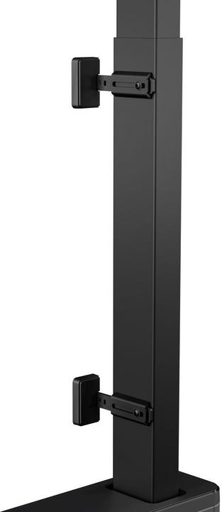 Actual product image Vogels Rise 2008 (Universal, 98", 140 kg)