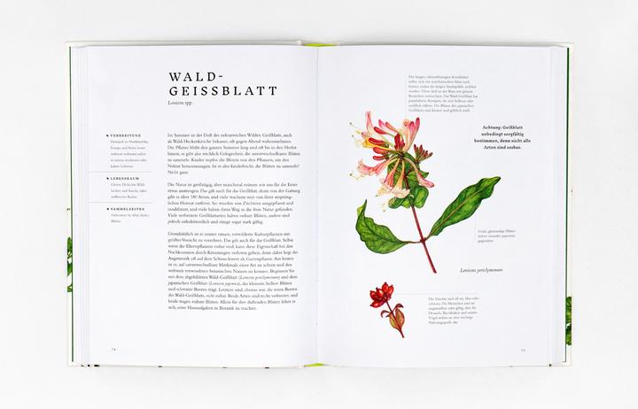 Image du produit Essbare Wildpflanzen (Allemand, Crabe Wiebke, Liz Knight, Rachel Pedder-Smith, 2021)