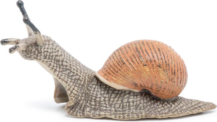 Veelkleurig
