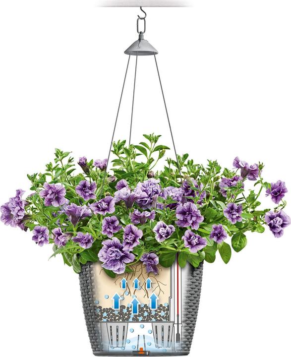 Image du produit Lechuza Nagendra (35 x 23 cm)