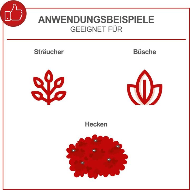 Actual product image Scheppach HTH250/240P Hedge Trimmer 1hp (Petrol)