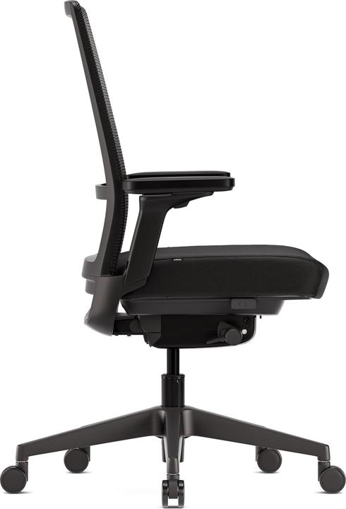 Actual product image ofinto Active (44 - 54 cm)