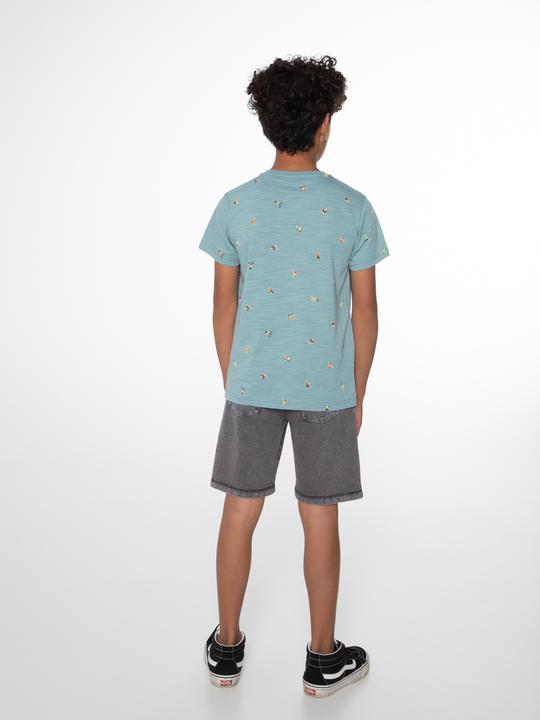 Actual product image Protest Shorts Orlin (116)