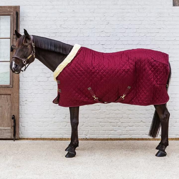 Kentucky Horsewear 160g (140 cm)