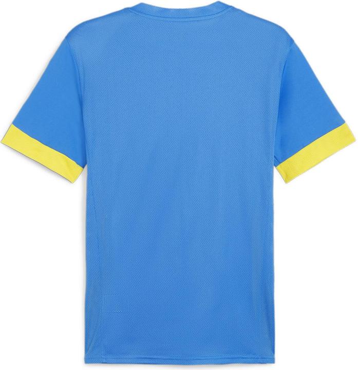 Produktbild Puma teamGOAL Matchday Jersey (M)