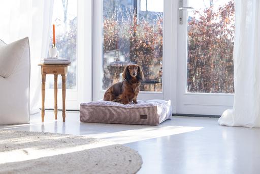 Produktbild Designed by Lotte Ribbed (Hund)