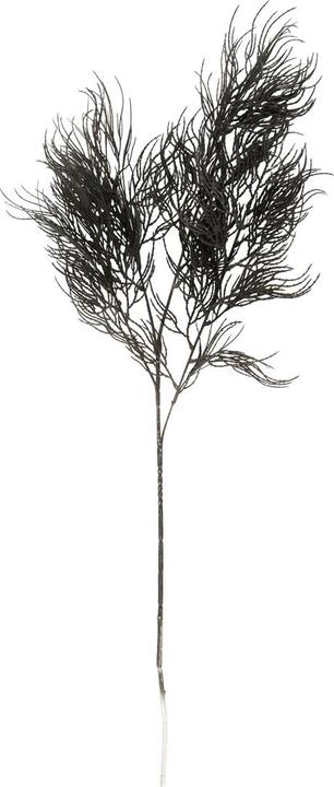 present time Asparagus Fern Stem (86.40 cm)