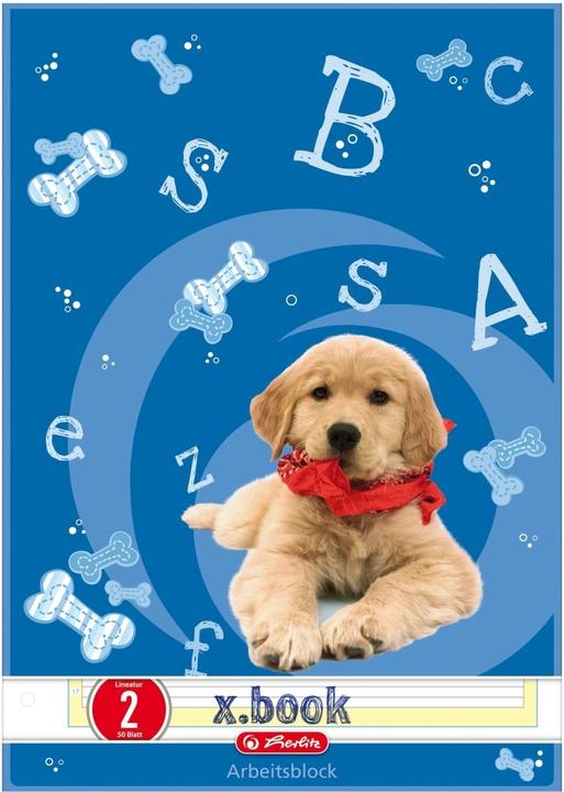 Actual product image Herlitz x.book work pad, DIN A4, ruling 2 (A4, Lined, No binding)