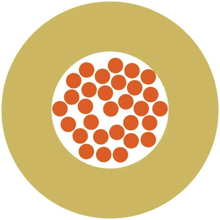 Productafbeelding Lapp Einzelader (100 m)