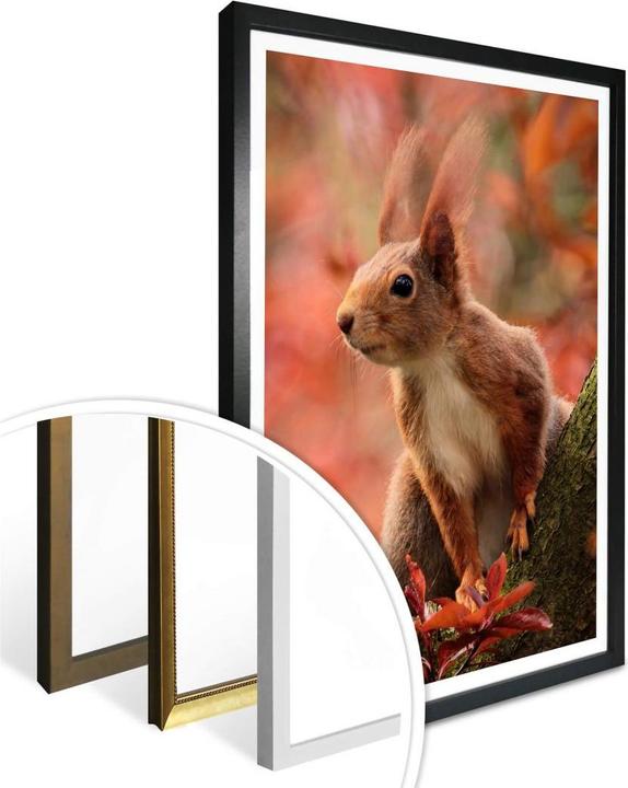 Produktbild Trenddeko Eichhörnchen 01 (30 x 40 cm)