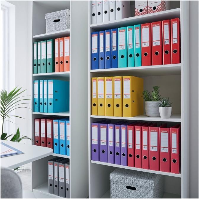 Immagine prodotto Esselte Registratore con meccanismo a leva n. 1 in PP (A4, 75 mm, 1 pz.)