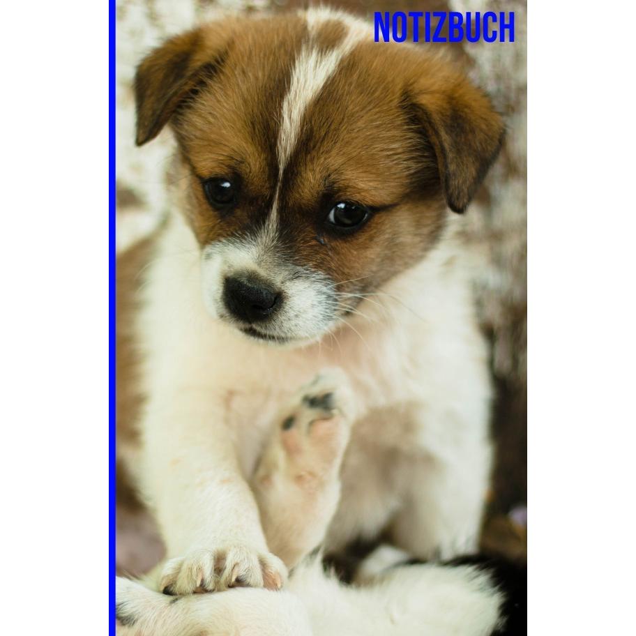 epubli, Heft + Block, Kariertes Notizbuch 6x9 Hundemotiv (Kariert, Harter Einband)