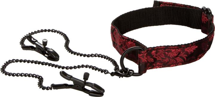 Actual product image CalExotics Scandal Submissive Kit