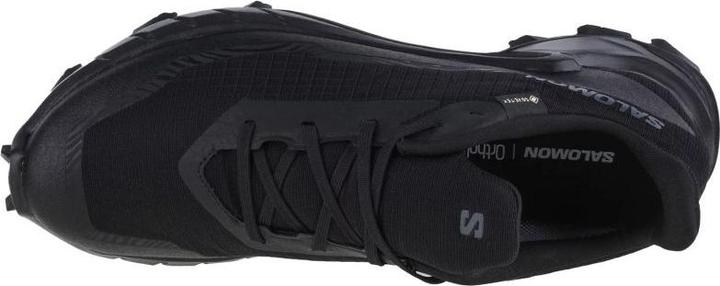 Image du produit Salomon Alphacross 5 GTX - 59879 (41 1/3)