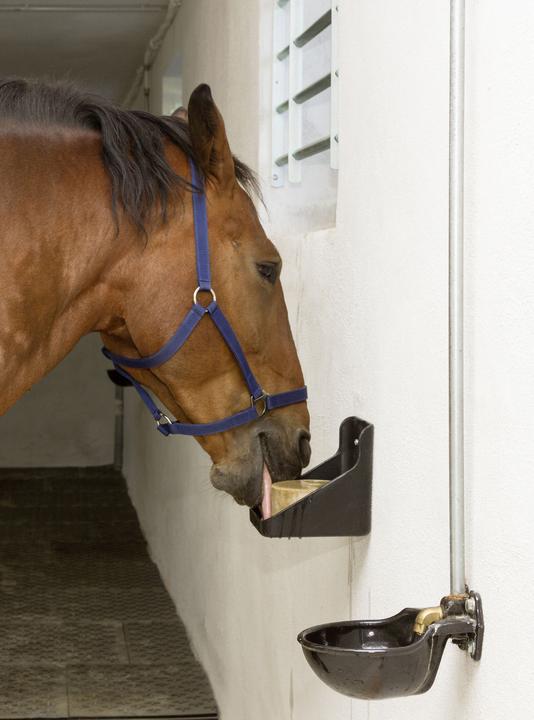 Produktbild Kerbl Equisal-Leckstein