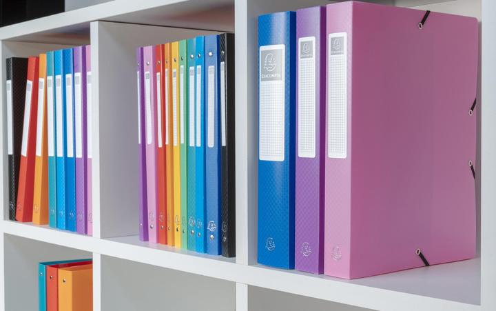 Actual product image Exacompta Archivboxen (A4)