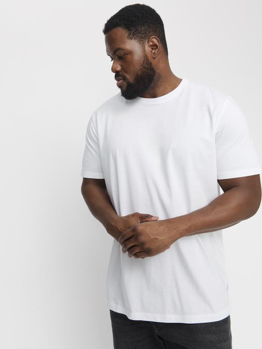 Actual product image Jack & Jones Jjeorganic Basic Tee Ss O-Neck Noos Pls (8XL)