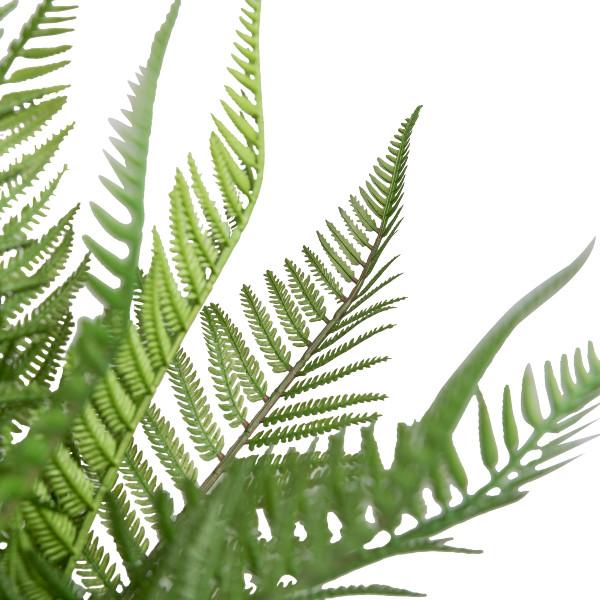 Immagine prodotto Gasper Farn (39 cm)