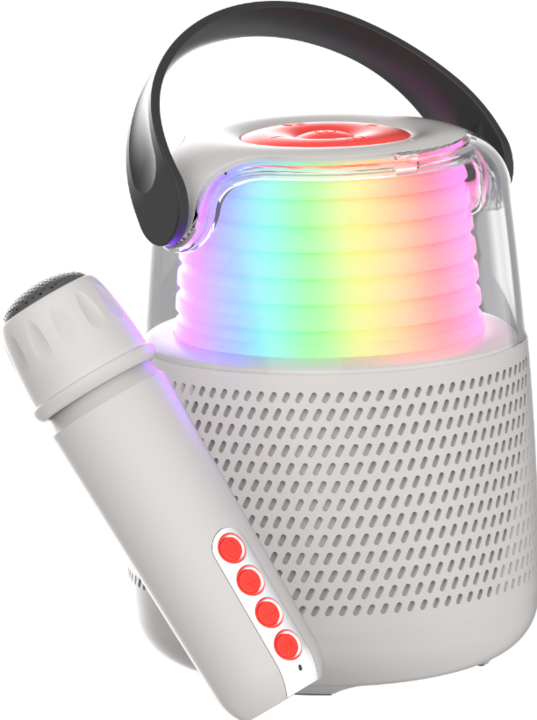 Actual product image Mobility on Board Karaoke speaker KS-80 grey (5 h, Electrical connection)