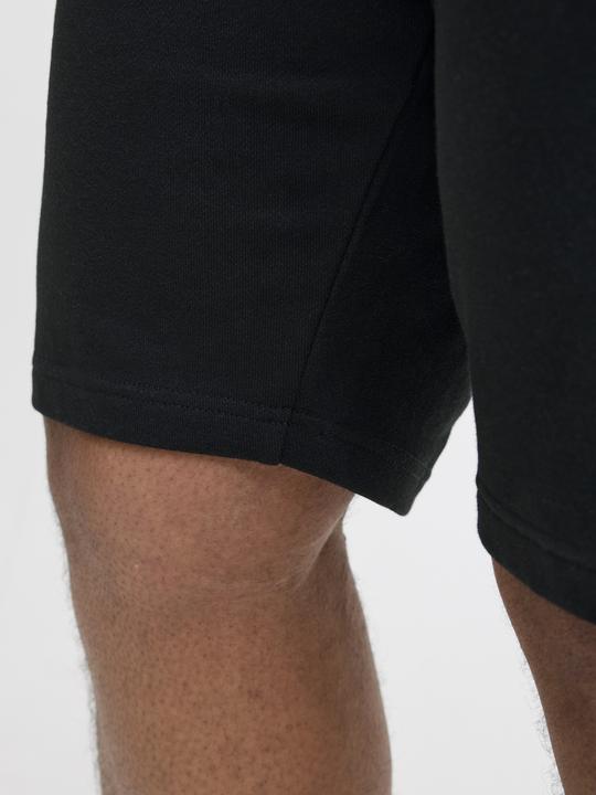 Produktbild Jack & Jones Plus Size Regular Fit Regular Fit Shorts Regular Fit Shorts (40)