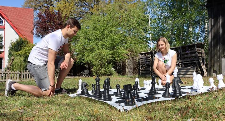Actual product image Alldoro Chess XXL