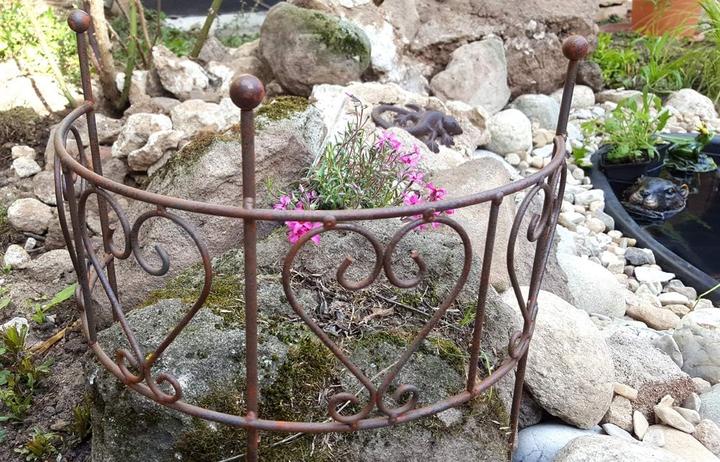 Immagine prodotto LB H&F Staudenhalter (55 cm, 55 cm)
