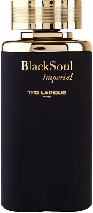 Immagine prodotto Ted Lapidus Anima nera imperiale (Eau de toilette, 100 ml)