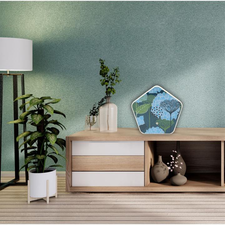 Productafbeelding Olympia Olymp Nature BOX
