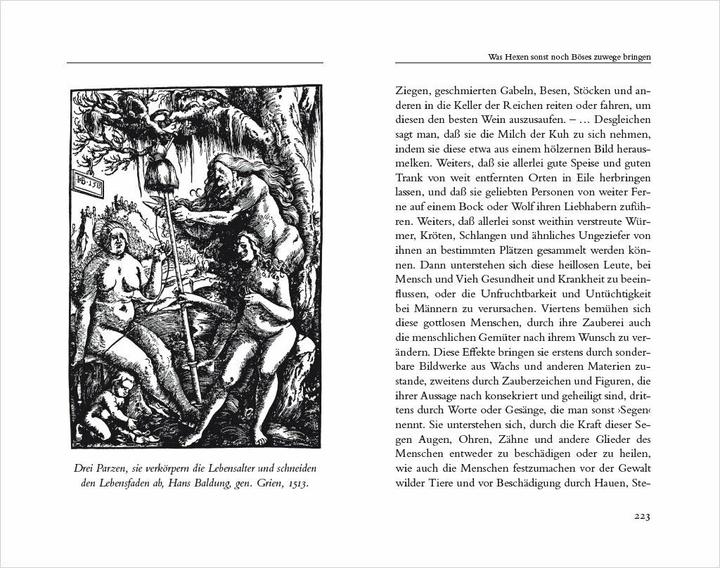 Actual product image Hexenkräuter. Alte Heilpflanzen und ihre Kräfte (German, Gerd Haerkötter, Marlene Haerkötter, 2023)