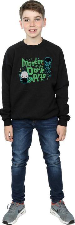 Produktbild Voldemort Dark Arts Junior Sweatshirt Jungen (152, 158)