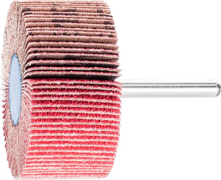 Produktbild Pferd Fächerschleifer F 6030/6 CO-COOL 80 VPE: 10 (80)