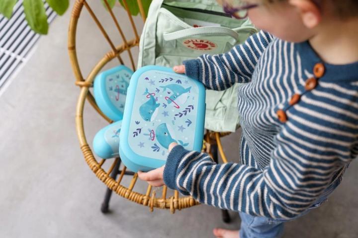 Actual product image Amuse Lunchbox Sealife