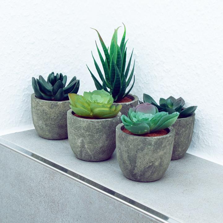 Actual product image Intirilife Artificial plant set (15 cm)