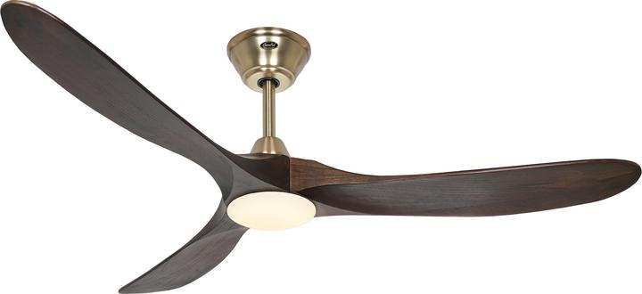 Laiton brossé, Noix