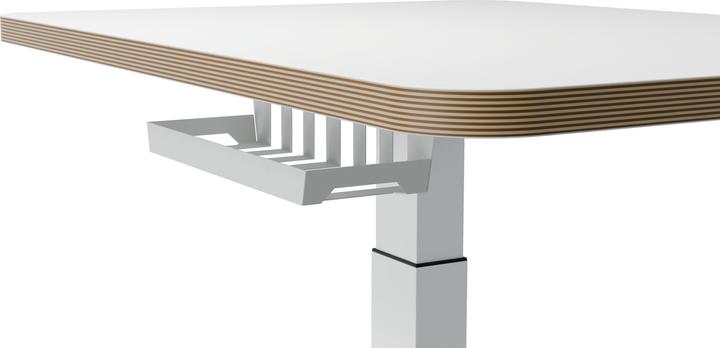 Actual product image Leitz Ergo Compact Workstation Electric height-adjustable desk (80 x 60 x 130 cm)