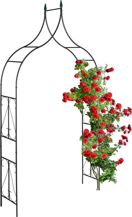 Productafbeelding Relaxdays Rozenboog (37 cm, 145 cm)