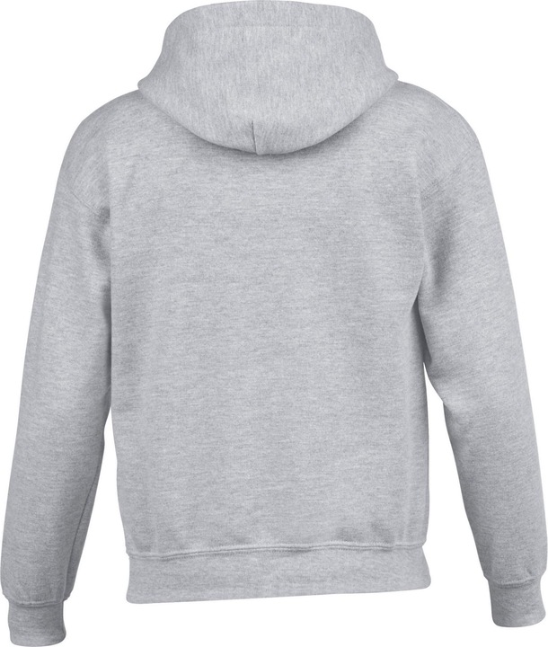 Actual product image Gildan Childrens/Kids Heavy Blend Hoodie (152, 158)