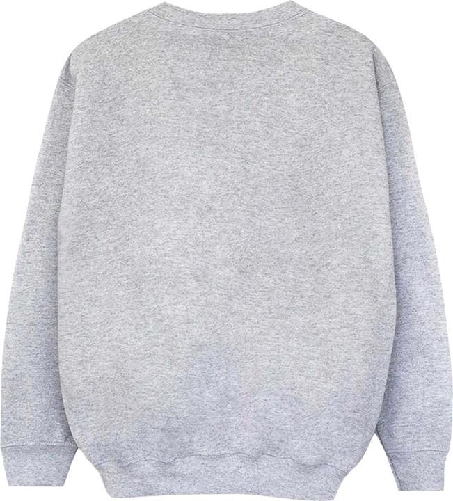 Produktbild Disney Toy Story Partysaurus Rex Sweatshirt Jungen (128)