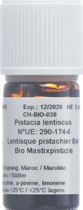 Produktbild AromaSan Mastixpistazie Bio Ätherisches Öl (5ml)