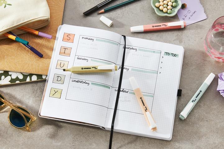 Immagine prodotto STABILO Swing Cool Nature 16 Disp (16x)