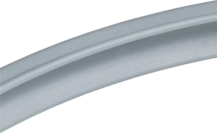 Actual product image Silit Silicone rubber ring (22 cm, Plastic)