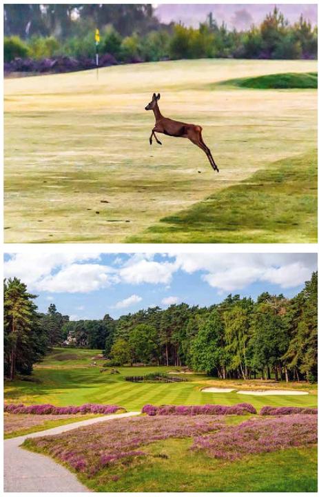 Produktbild 150 Golfplätze, die man gespielt haben muss (Deutsch, Waldek, Stefanie, 2024)