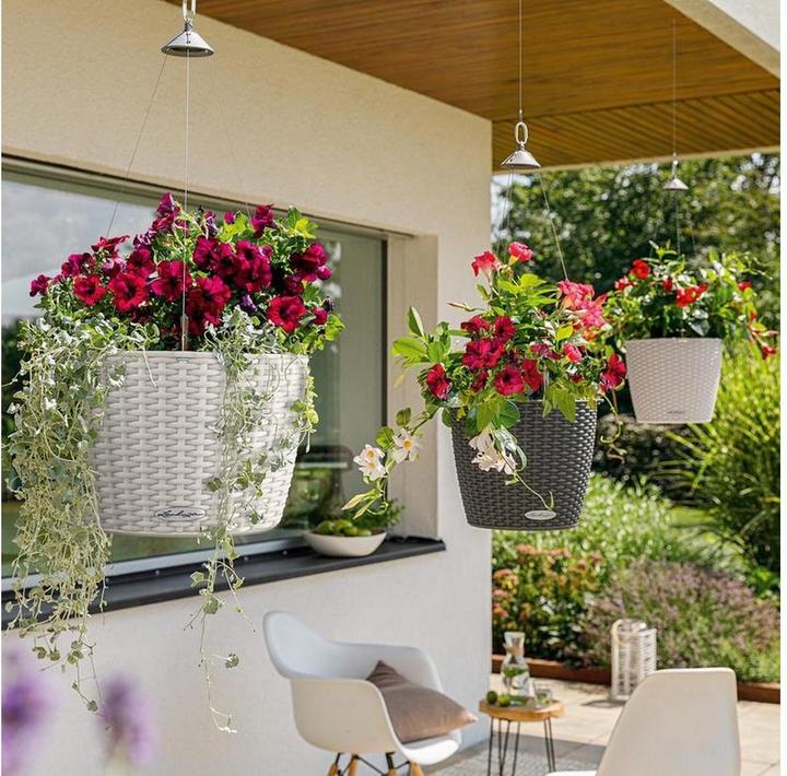 Image du produit Lechuza Nagendra (35 x 23 cm)