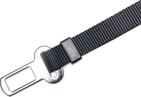 Produktbild Beeztees Leine Fuer Autogeschirr (M, Hund, Allgemein)